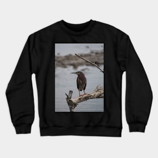 Green Heron Crewneck Sweatshirt